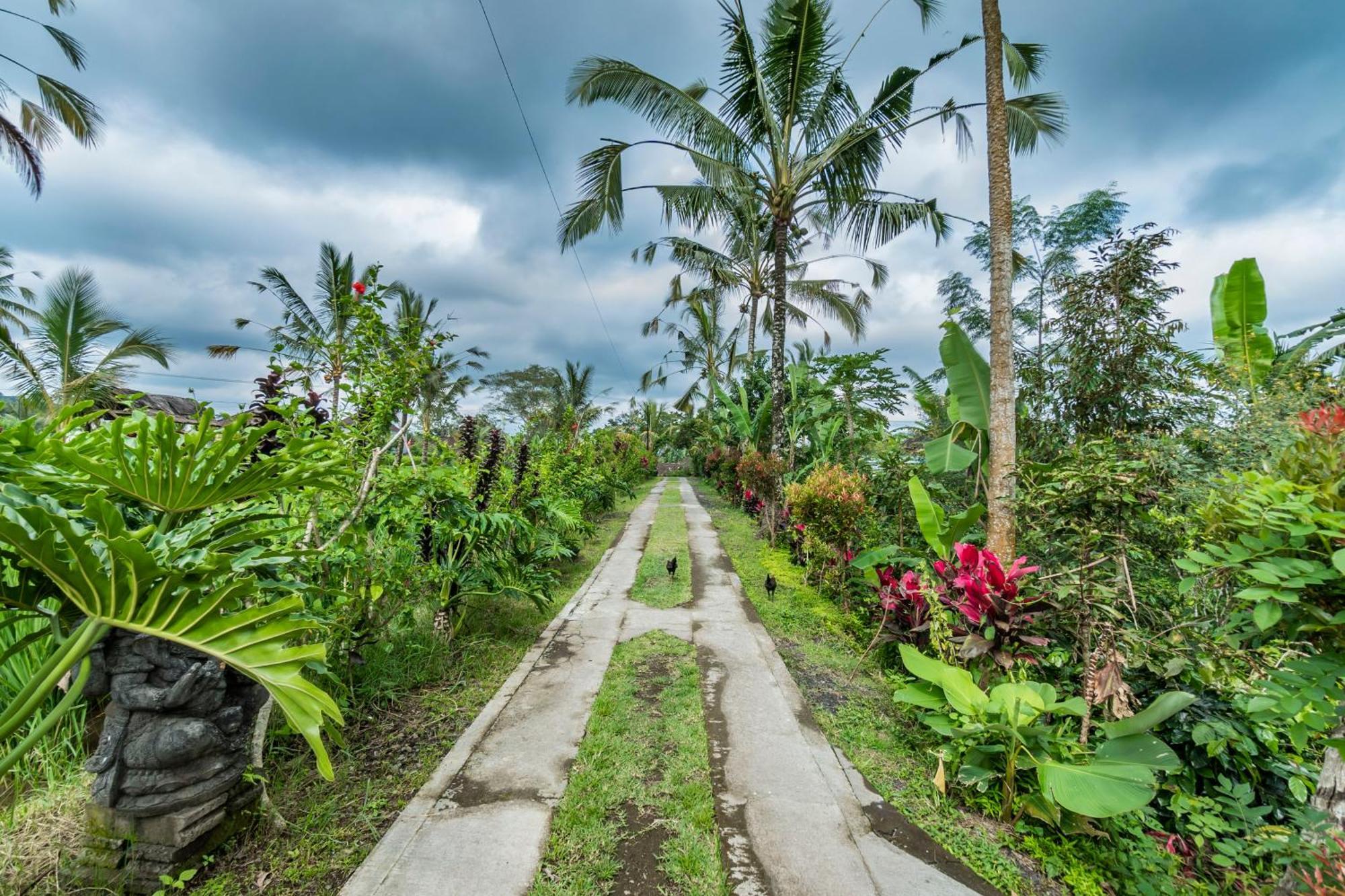 Ritual Ubud بيانغان المظهر الخارجي الصورة